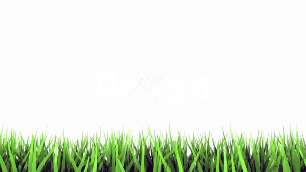 grass